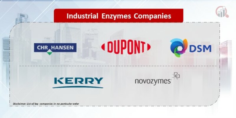 Industrial Enzymes Companies