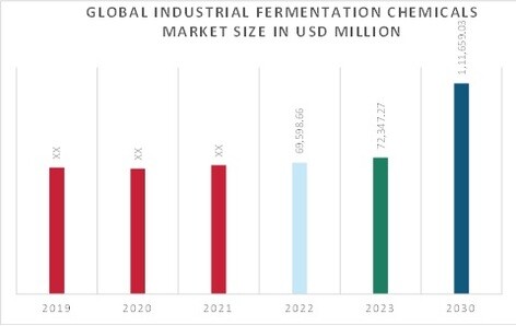 Industrial Fermentation Chemicals Market Overview