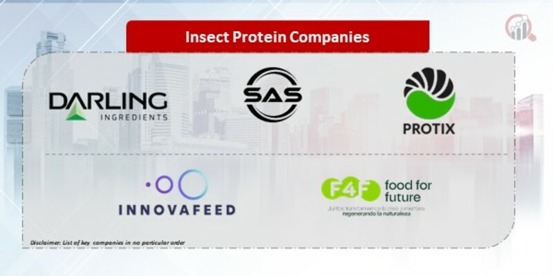 Insect Protein Companies