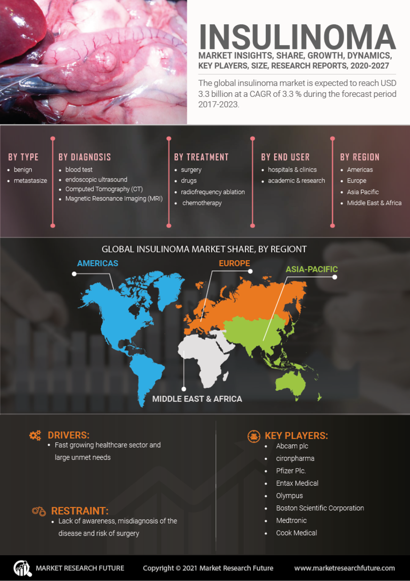 Insulinoma Market