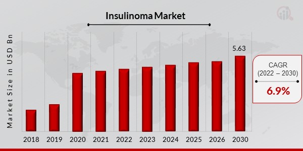 Insulinoma Market overview1
