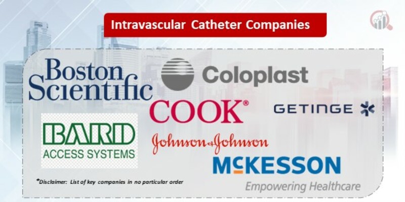 Intravascular Catheter Key Companies