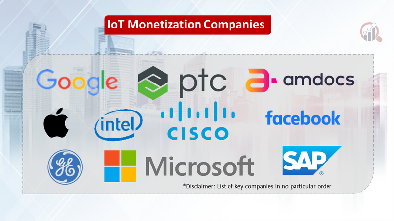 IoT Monetization Market