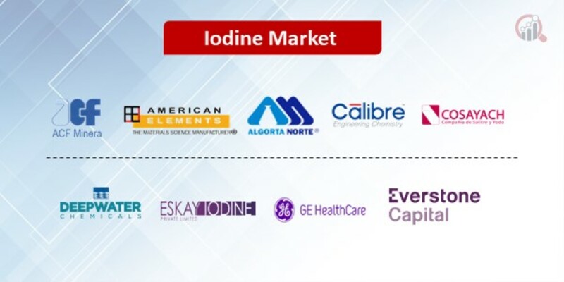 Iodine Key Companies 