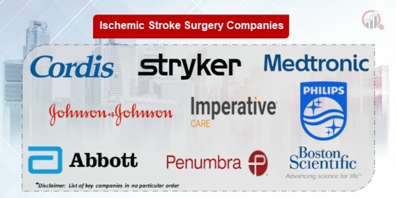 Ischemic Stroke Surgery Key Companies