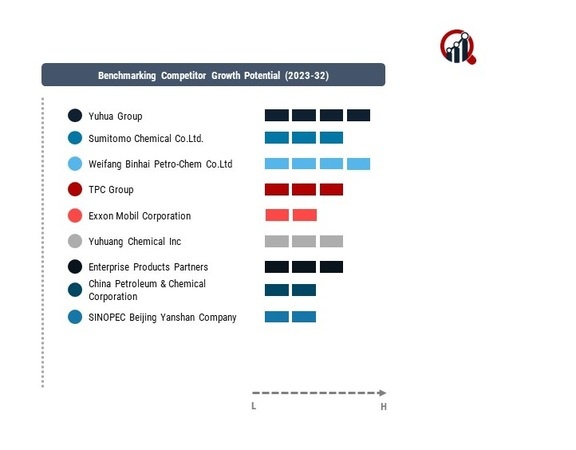 isobutene Key Companies