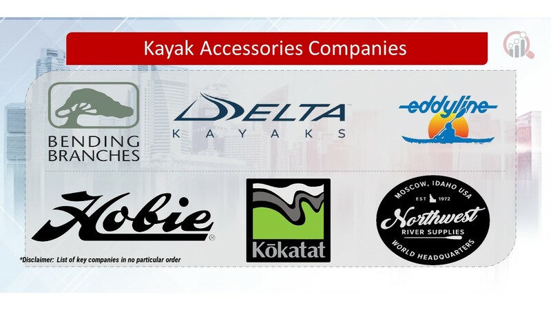 Kayak Accessories Key Companies