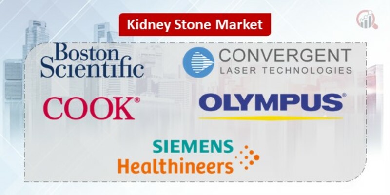Kidney Stone Key Companies
