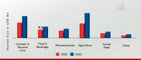L-Citrulline Market by Application, 2022 & 2032