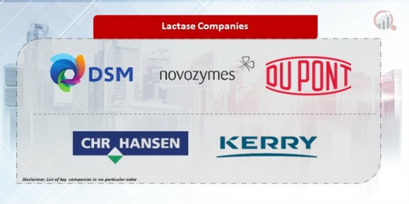 Lactase Company