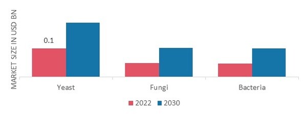 Lactase Market by Source, 2022& 2030