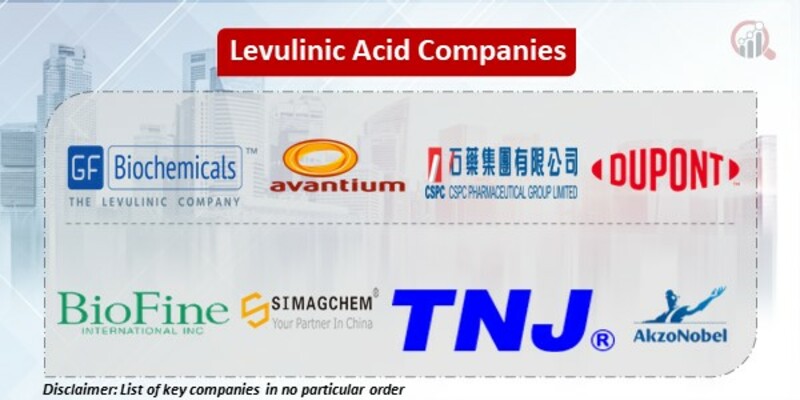 Levulinic Acid Key Companies