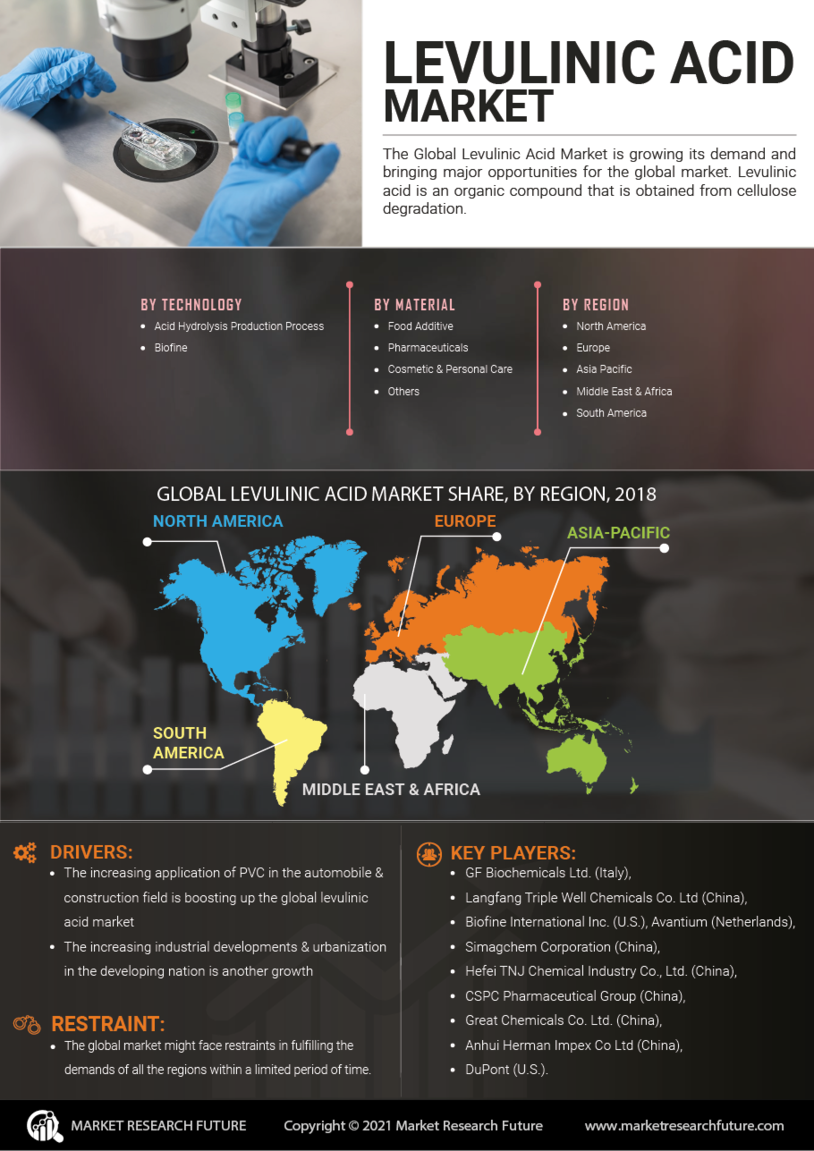 Levulinic Acid Market