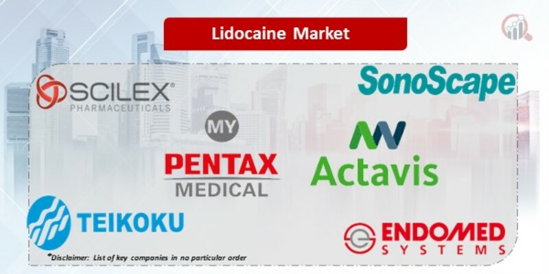 Lidocaine key companies