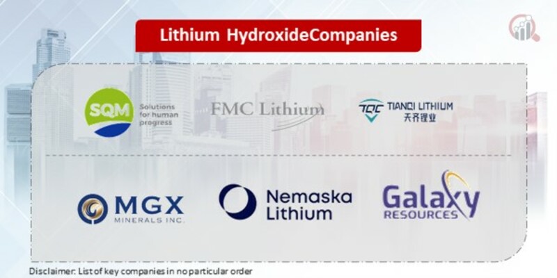 Lithium Hydroxide Key Companies