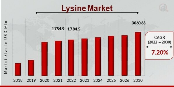 Lysine Market