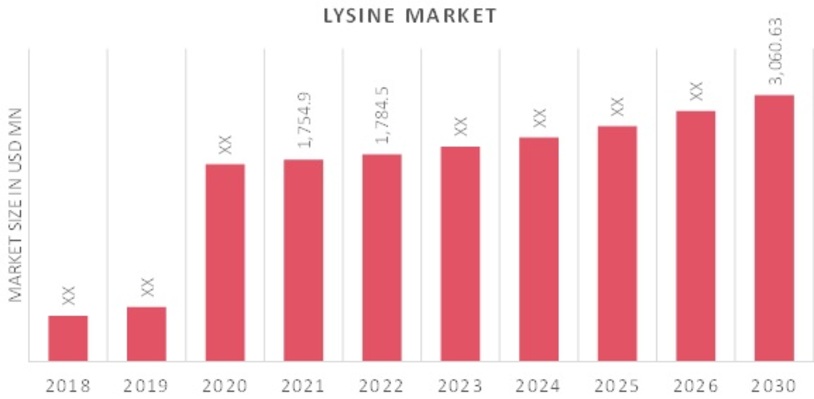 Lysine Market Overview