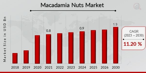 Macadamia Nuts Market1