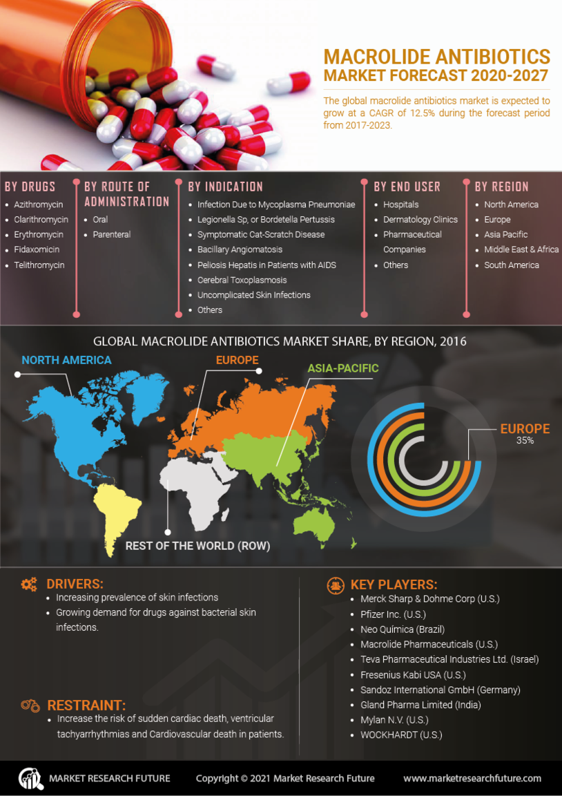 Macrolide Antibiotics Market