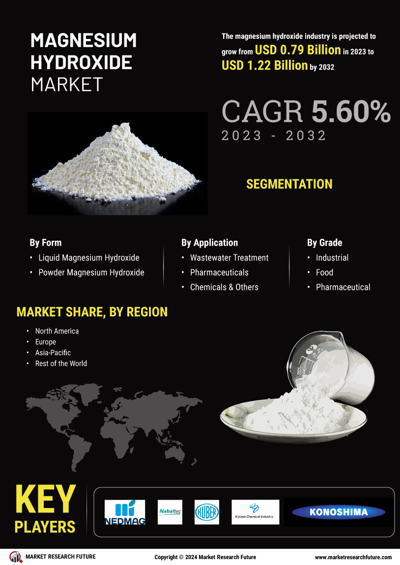 Magnesium Hydroxide Market