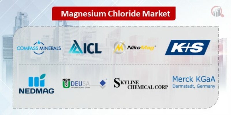 Magnesium Chloride Key Companies 