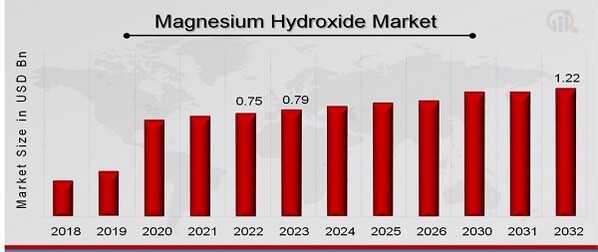 Magnesium Hydroxide Market Overview