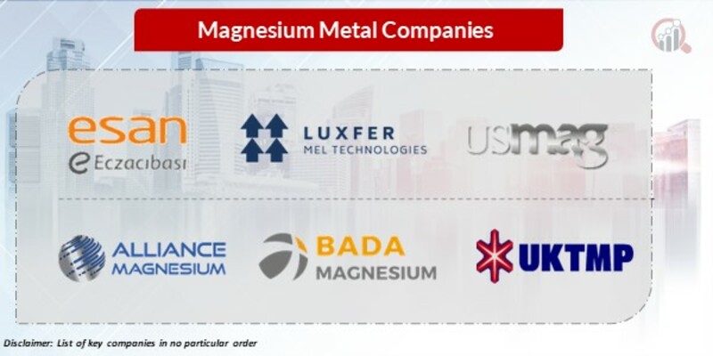 Magnesium Metal Key Companies