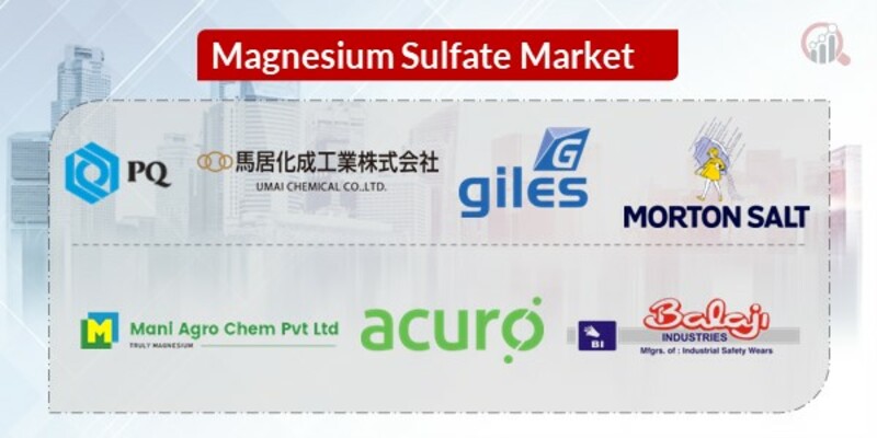  Magnesium Sulfate Key Companies