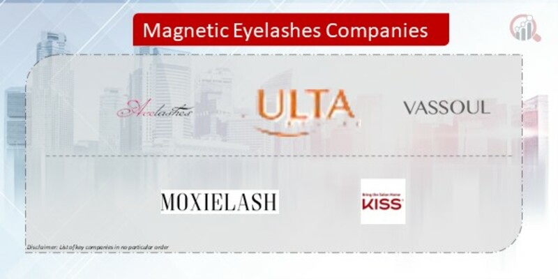 Magnetic Eyelashes Company