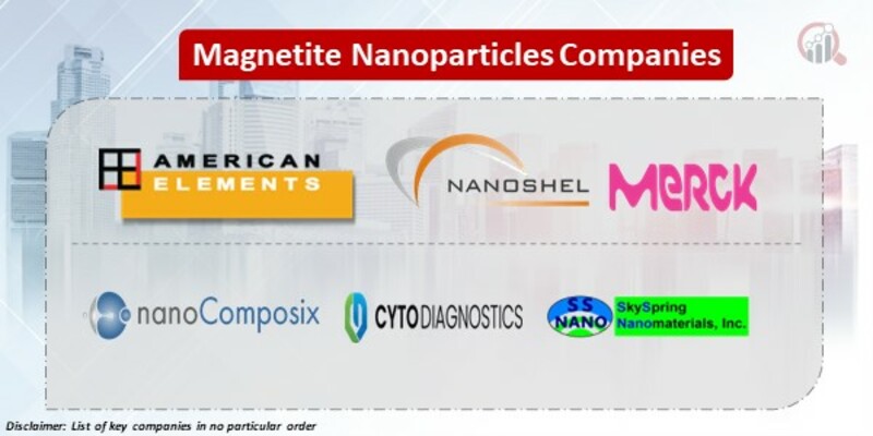 Magnetite Nanoparticles Key Companies
