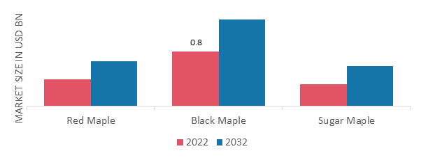Maple Syrup Market, by Source, 2022 & 2032