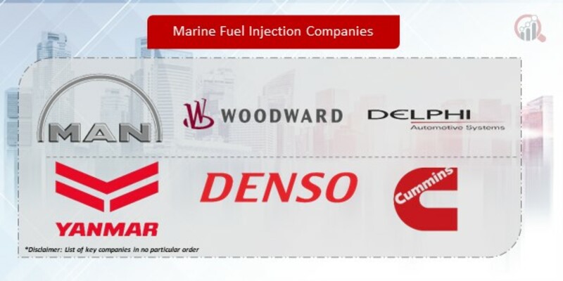 Marine Fuel Injection Companies