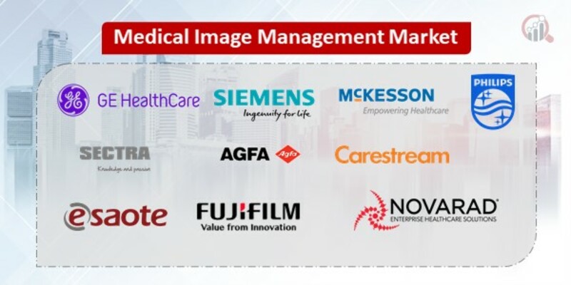 Medical Image Management Key Companies.jpg