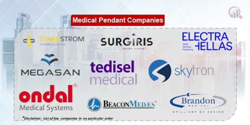 Medical pendant Companies