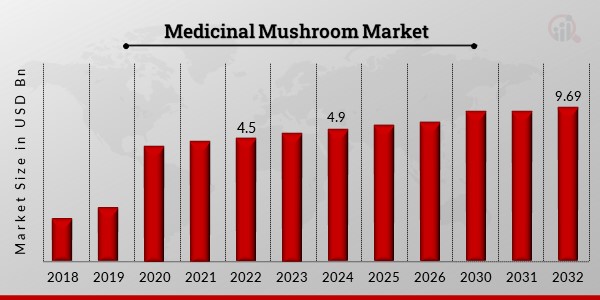 Medicinal Mushroom Market1