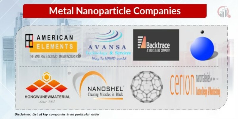  Metal Nanoparticle Key Companies