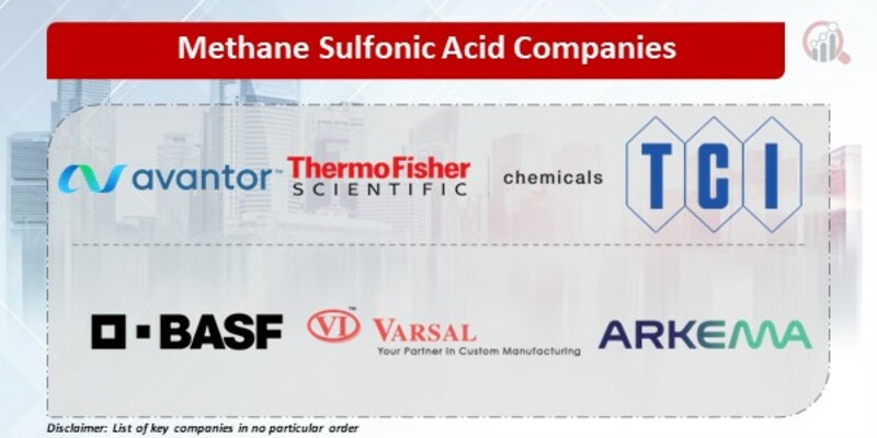 Methane Sulfonic Acid Companies