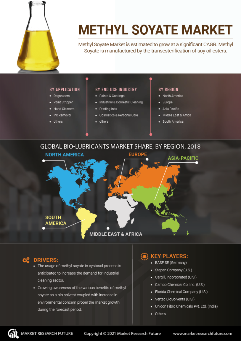 Methyl Soyate Market