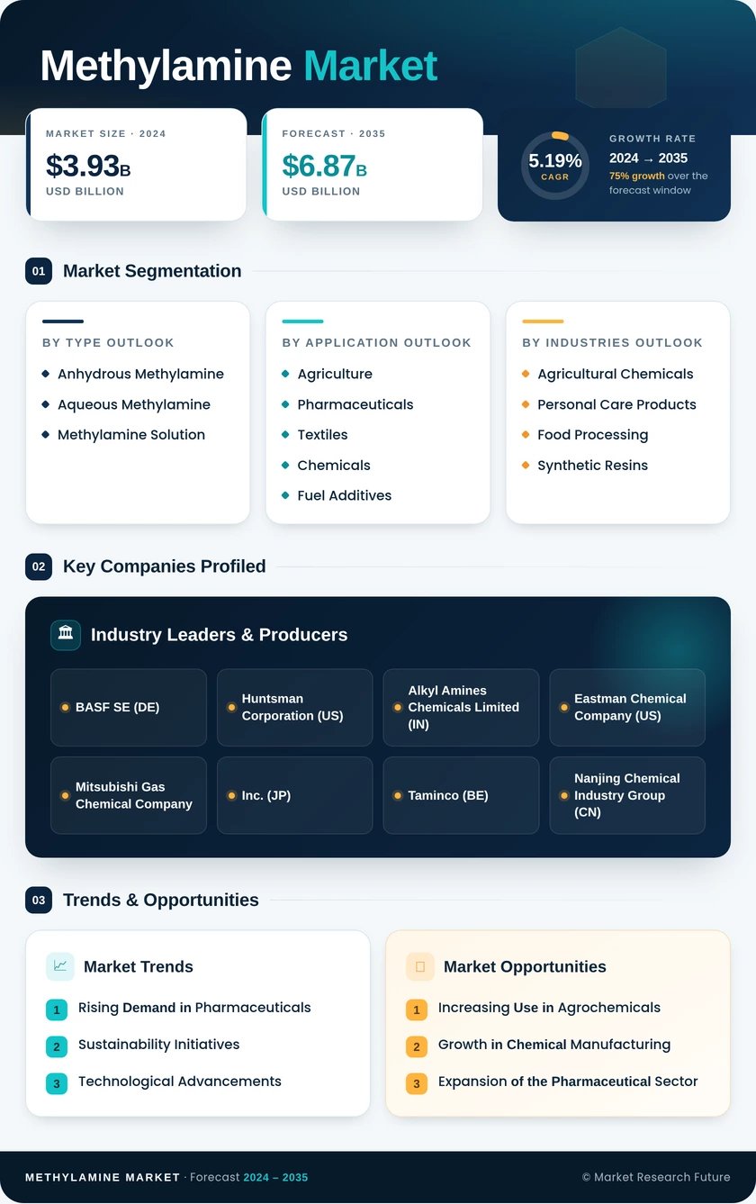 Methylamine Market Research Report — Global Forecast till 2035 Infographic