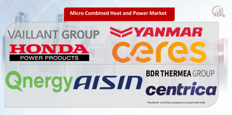 Micro Combined Heat and Power Key Company