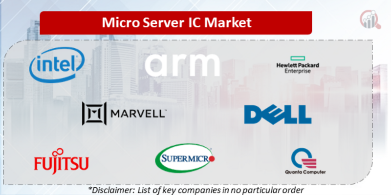 Micro Server IC Companies