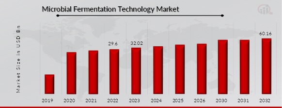  Microbial Fermentation Technology Market Overview  Microbial Fermentation Technology Market Size was valued at US