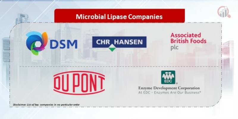 Microbial Lipase Companies