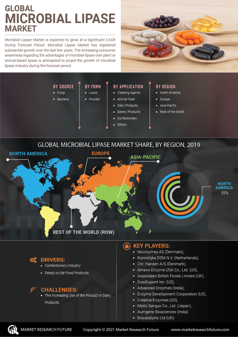 Microbial Lipase Market