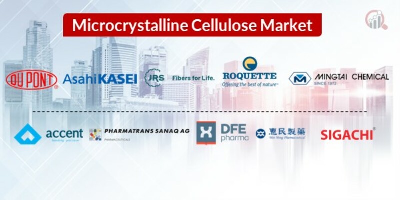 Microcrystalline Cellulose Key Companies  