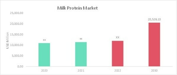 Milk Protein Market Overview