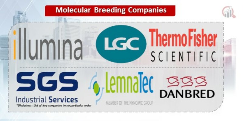 Molecular Breeding Companies.jpg
