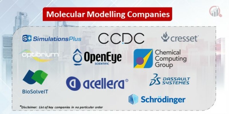 Molecular Modelling Key Companies