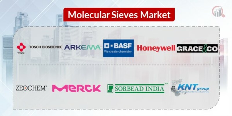 Molecular Sieves Key Companies