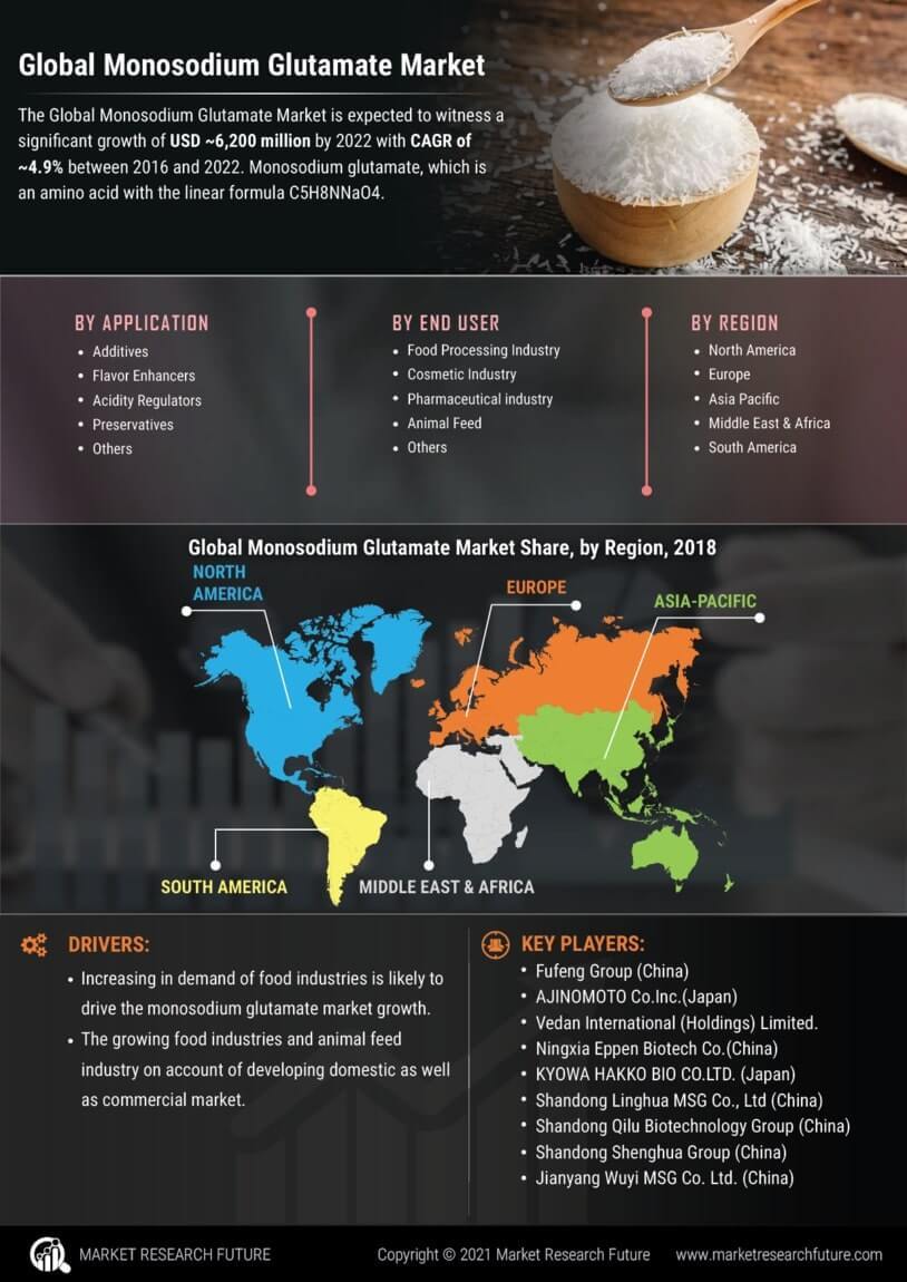 Monosodium Glutamate Market